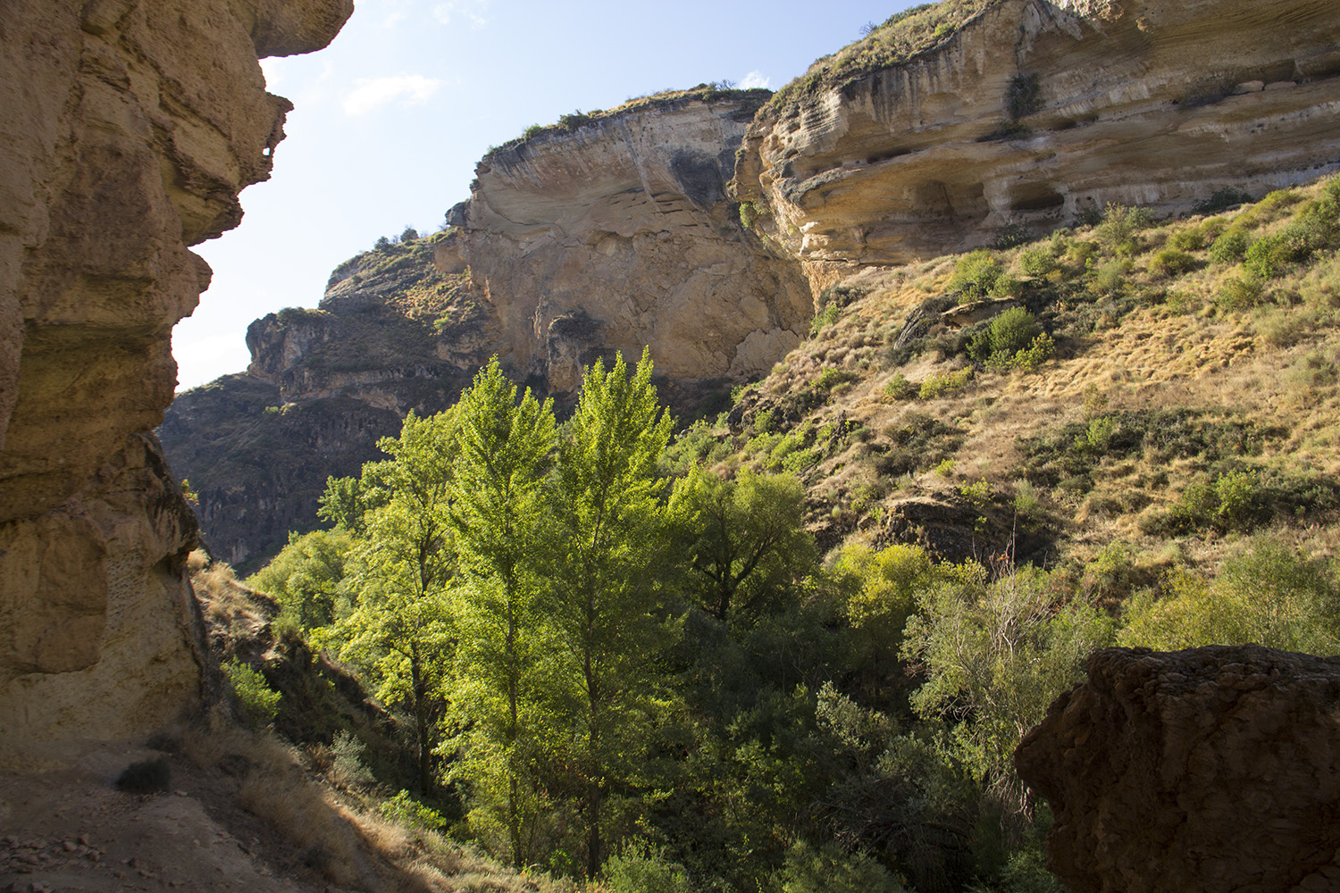 "Tajos de Cacín" - Cacín, Granada - LS00924