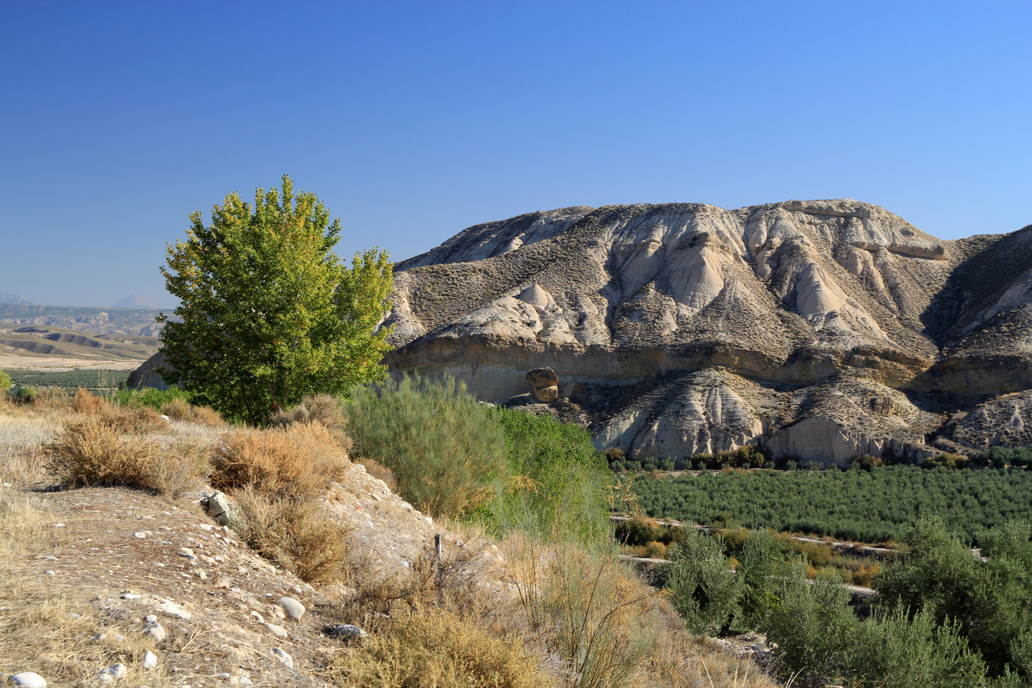 "Los Montes" - Granada - LS05648