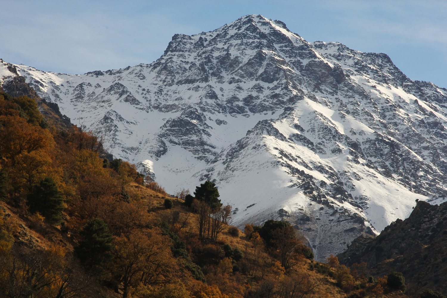 "High Peaks" - Sierra Nevada - LS09752