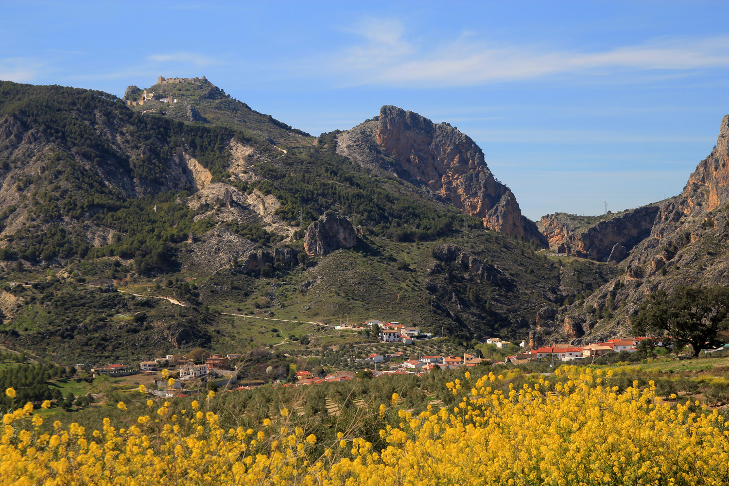 "Olivares" - Moclin, Granada - LS06660