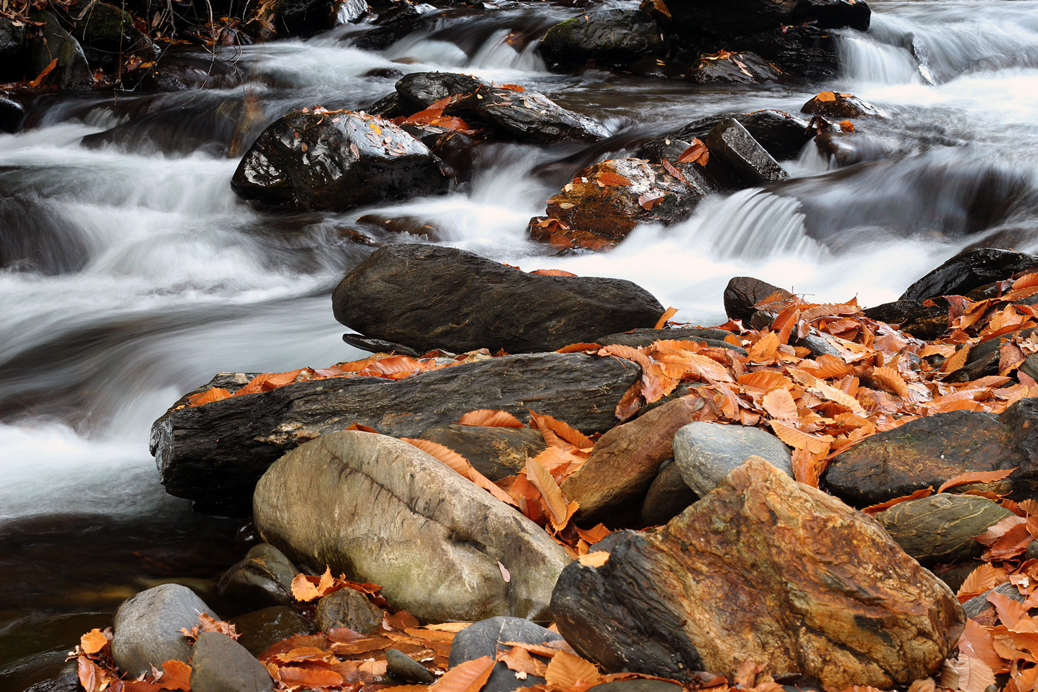 "Autumn Water" - Rio Genil, PN Sierra Nevada, Granada - R00060