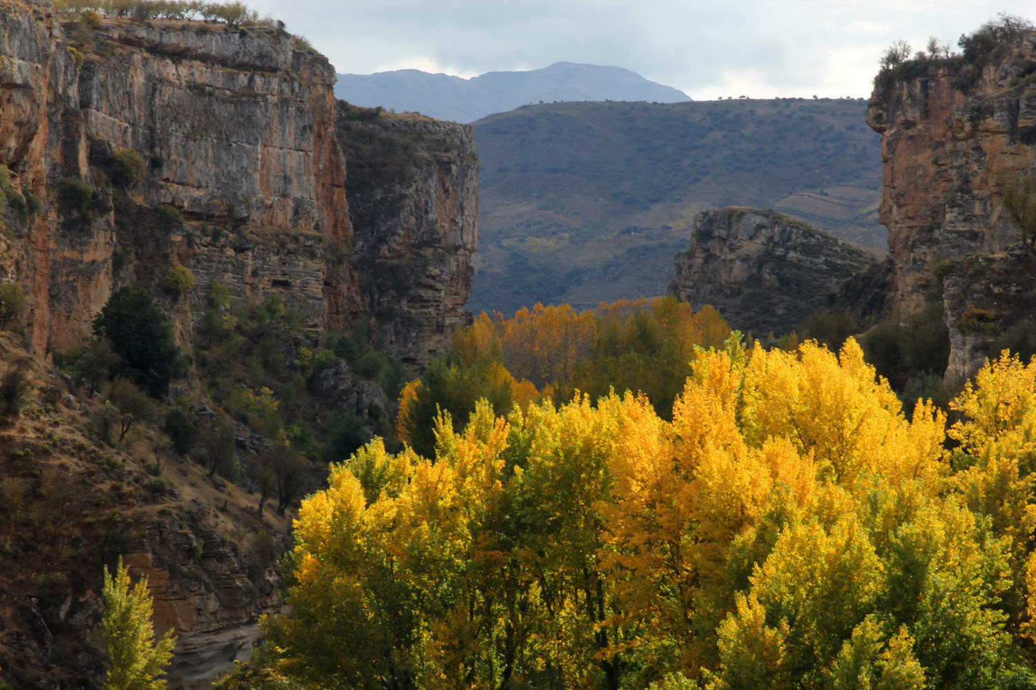 "Autumn Valley" - Alhama de Granada - LS07874