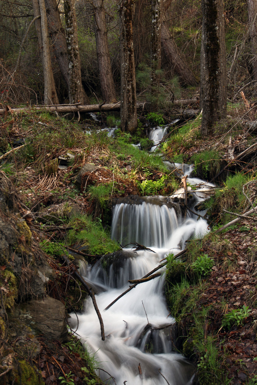 "The Light Waterfall"  - Marquesado de Zenete, Granada - WF06963