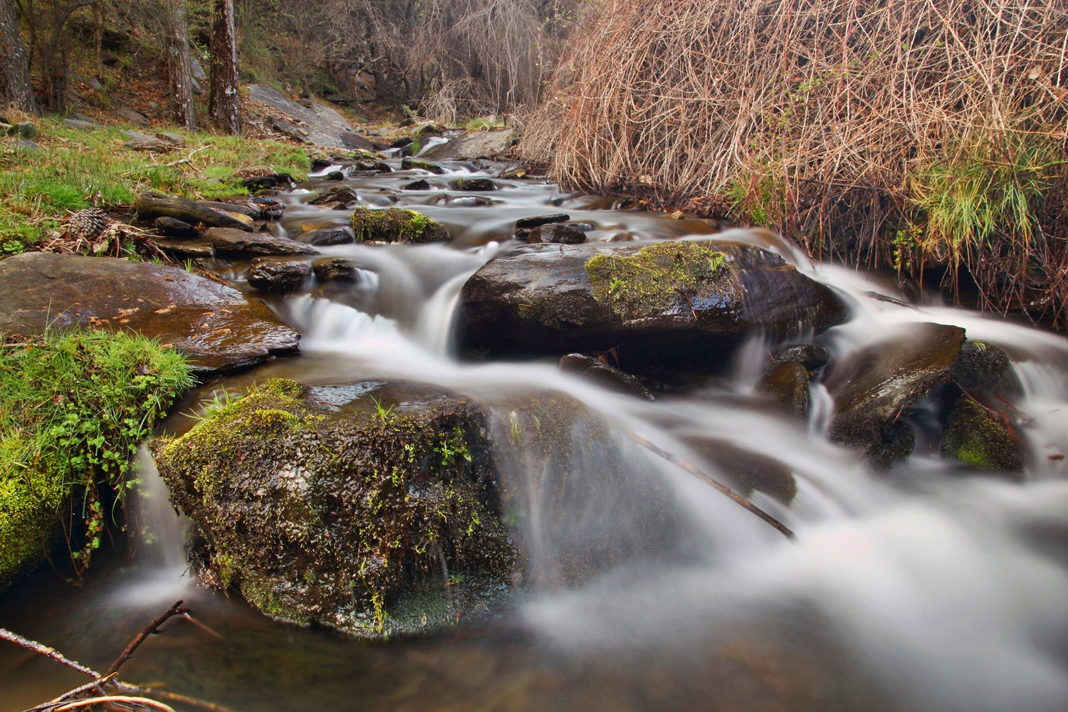 "Marquesado de Zenete" -  PN Sierra Nevada, Granada - R08527