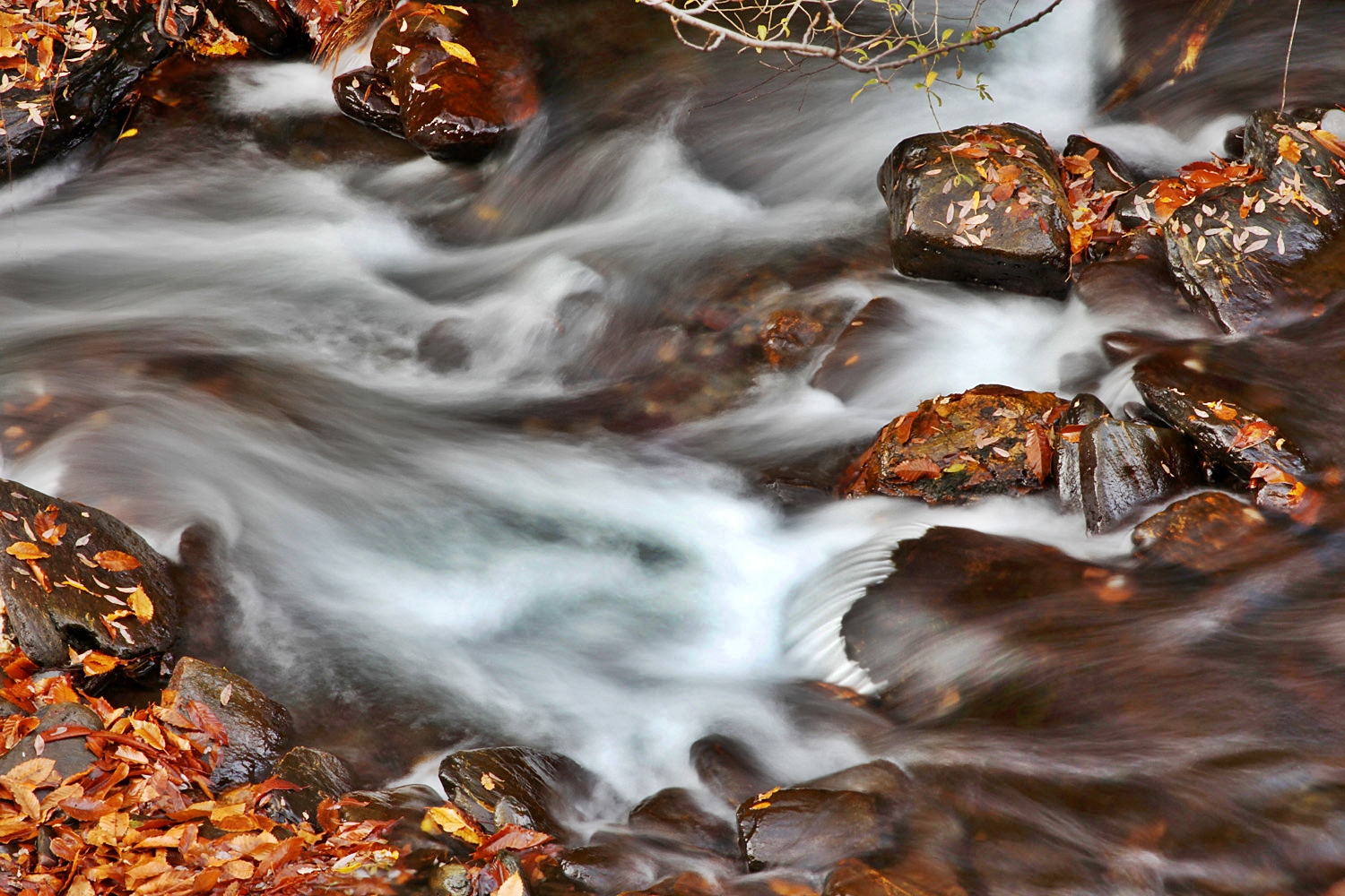 "Autumn Water" - Rio Genil, PN Sierra Nevada, Granada - WC00114