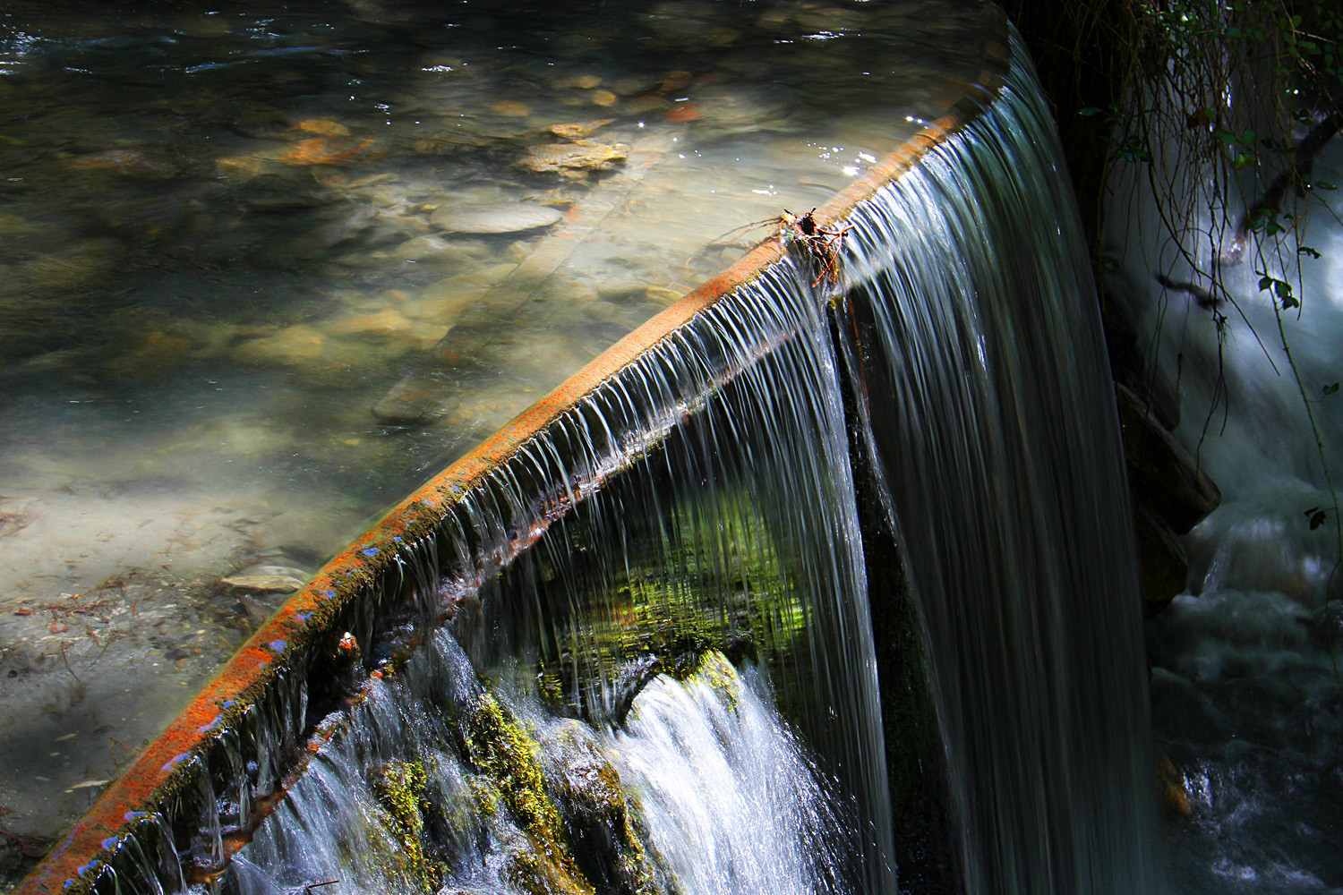 "Rio Dilar" - Portugos, PN Sierra de Nevada, Granada - WF04012