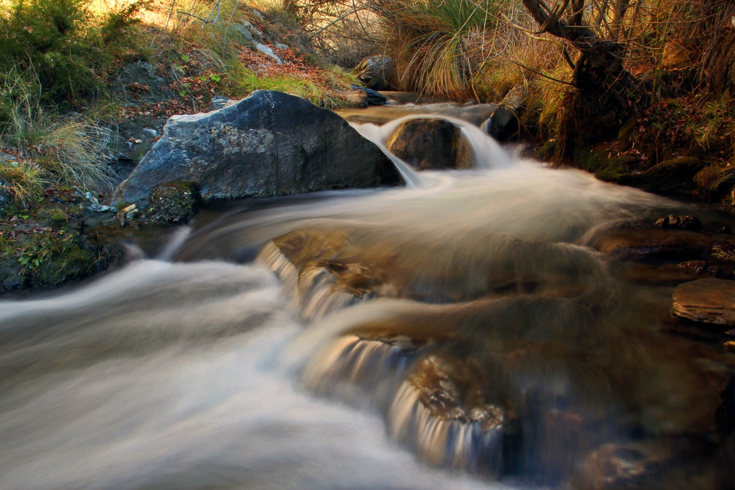 "Rio Torrente" - PN Sierra Nevada, Granada - R04790