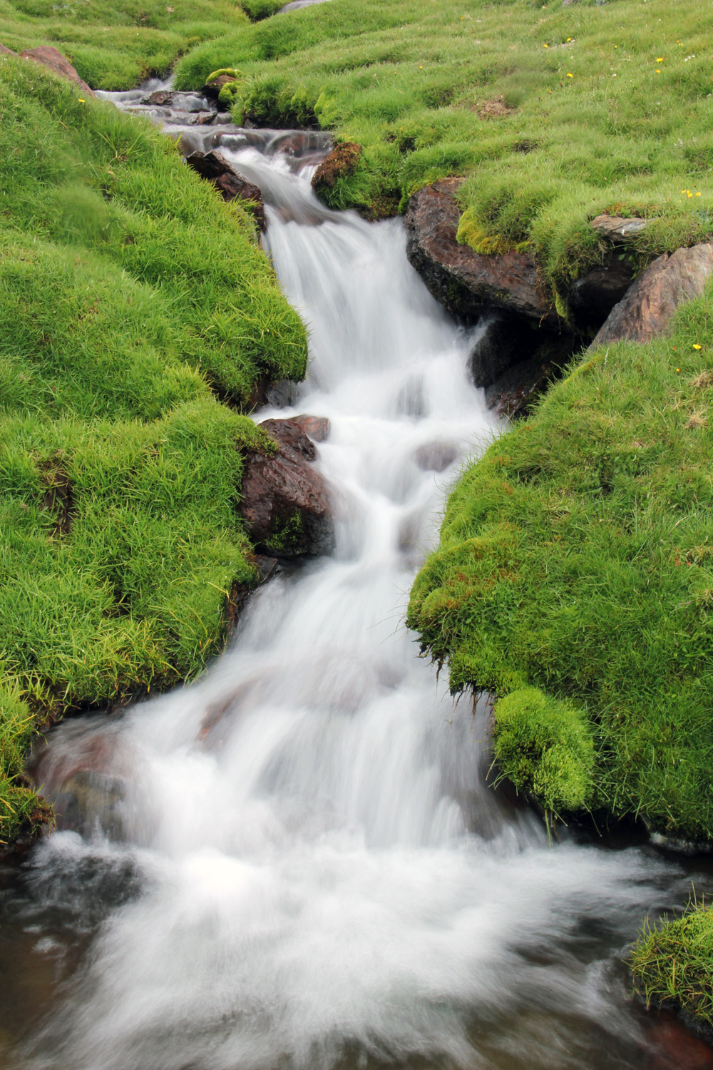 "Melting Water" - PN Sierra Nevada, Granada - WC05303