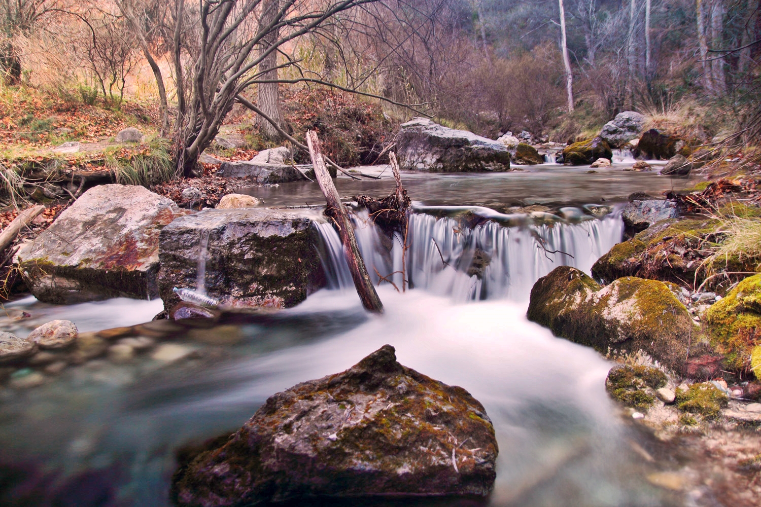 "Rio Dilar" - Dilar, Granada - R05771