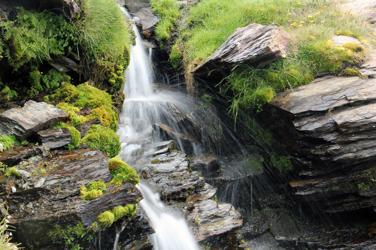 "Mountain Water" - PN Sierra Nevada, Granada - WC05269