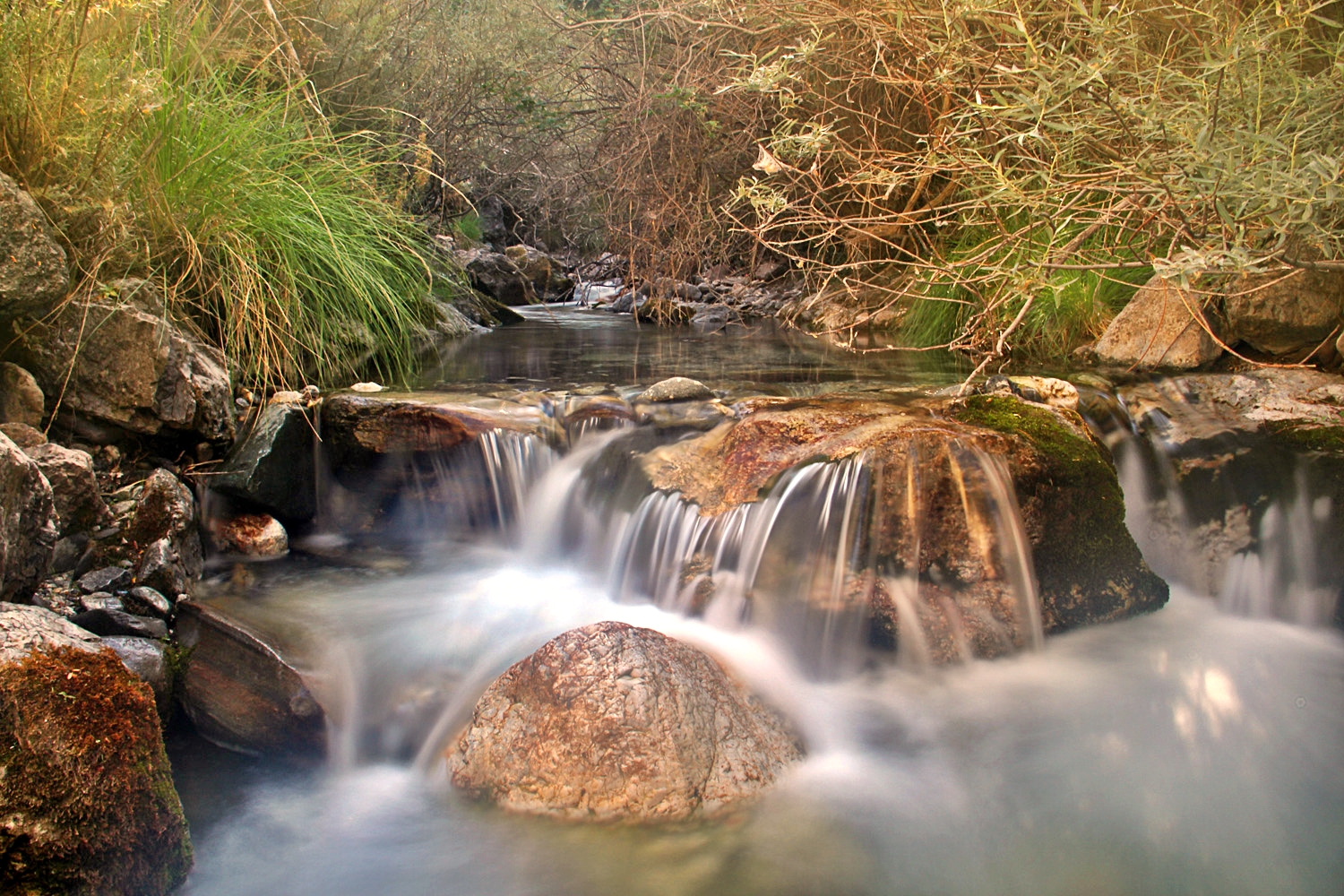 "Rio Dílar" - PN Sierra Nevada, Granada - R08535