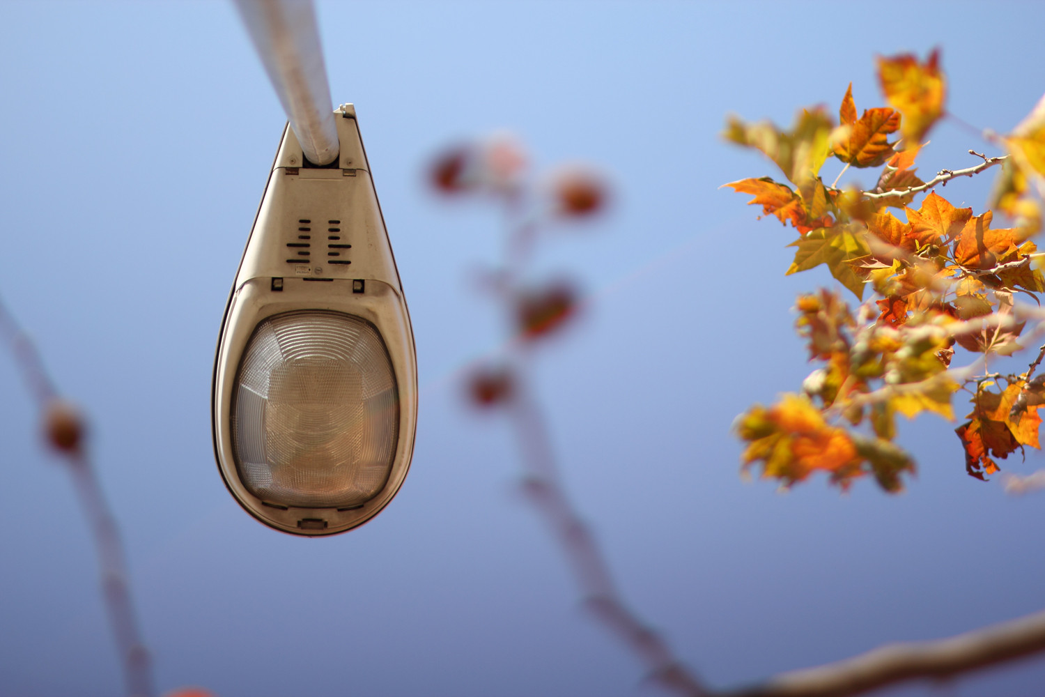 "Autumn Light" - Street Granada - VH06596