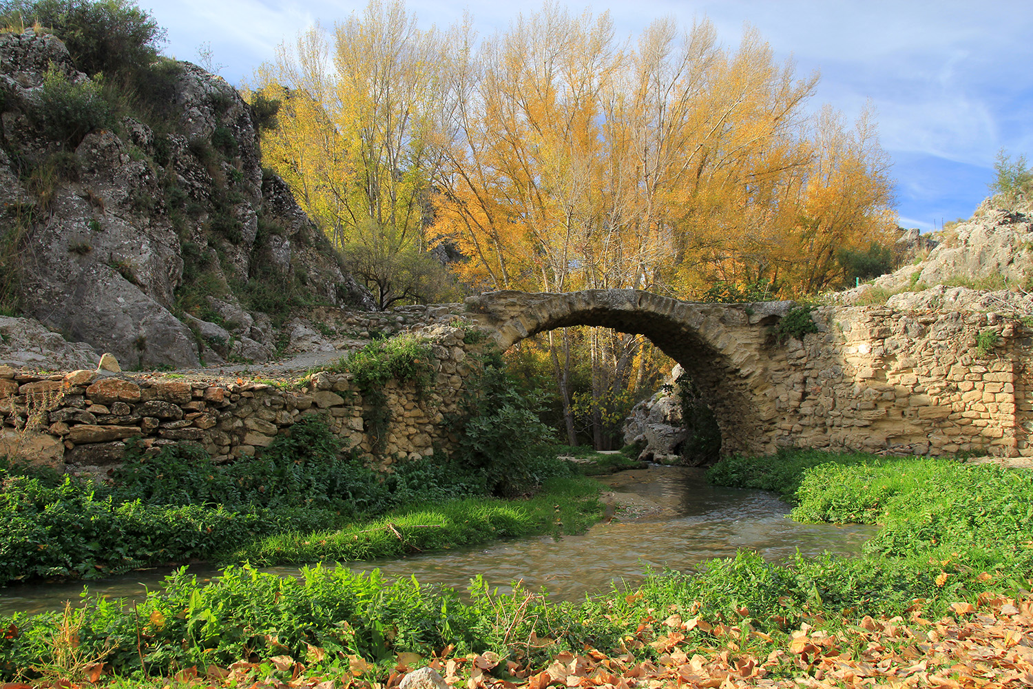 "Roman Bridge" - Alhama de Granada - B01238