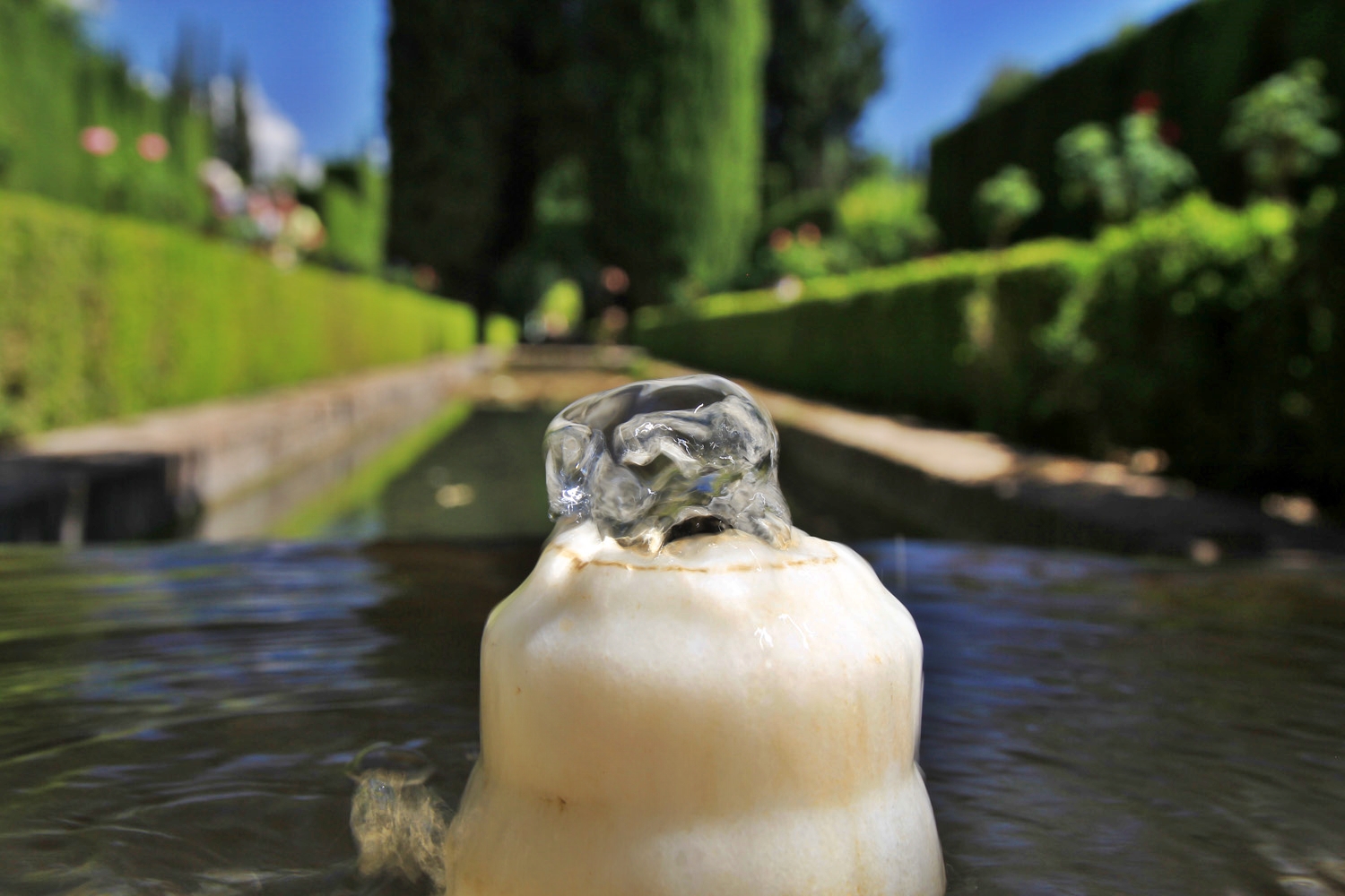 Generalife, Alhambra, Granada - ALH09568