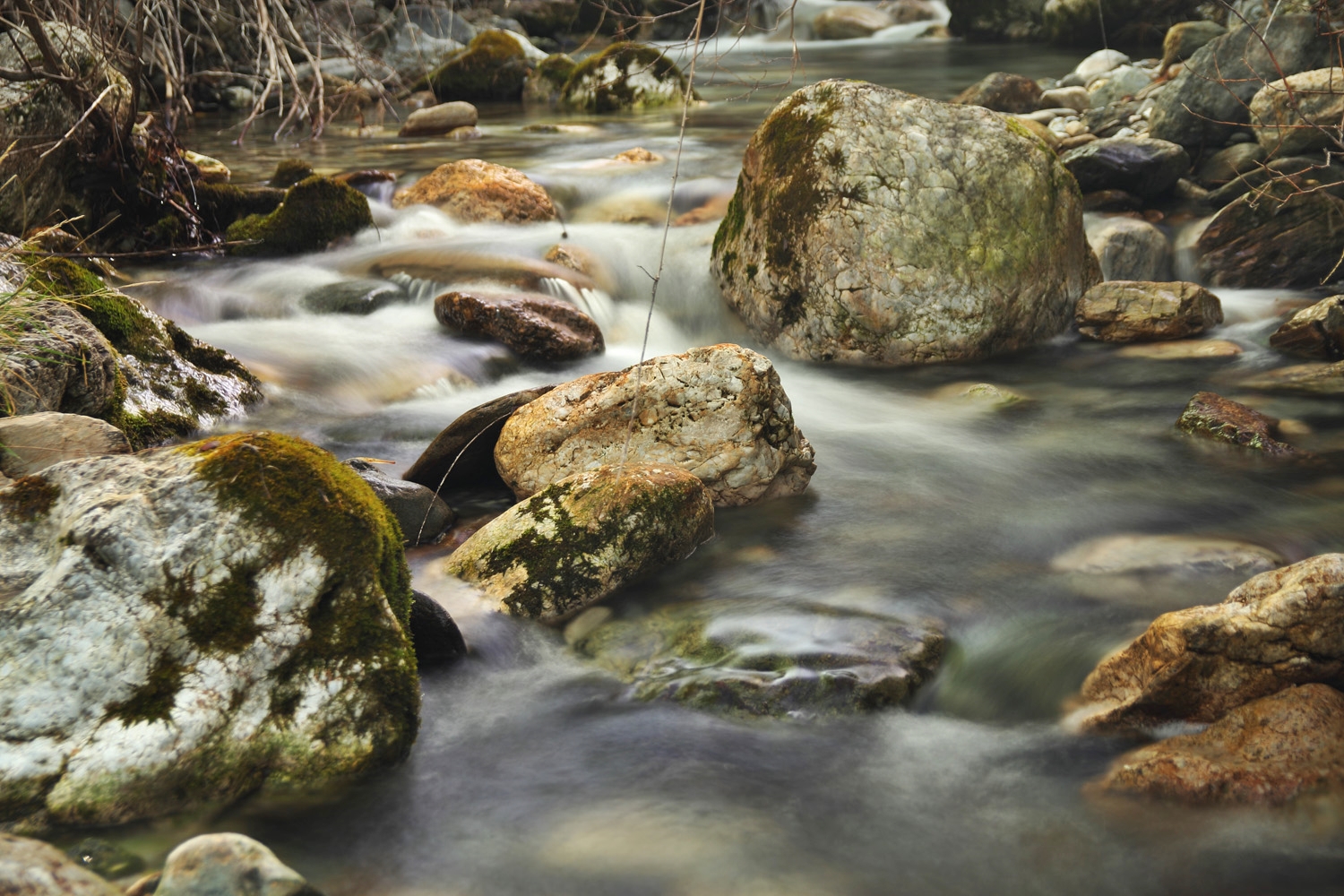 "Rio Dilar" - Dilar, PN Sierra Nevada,Granada - R05866