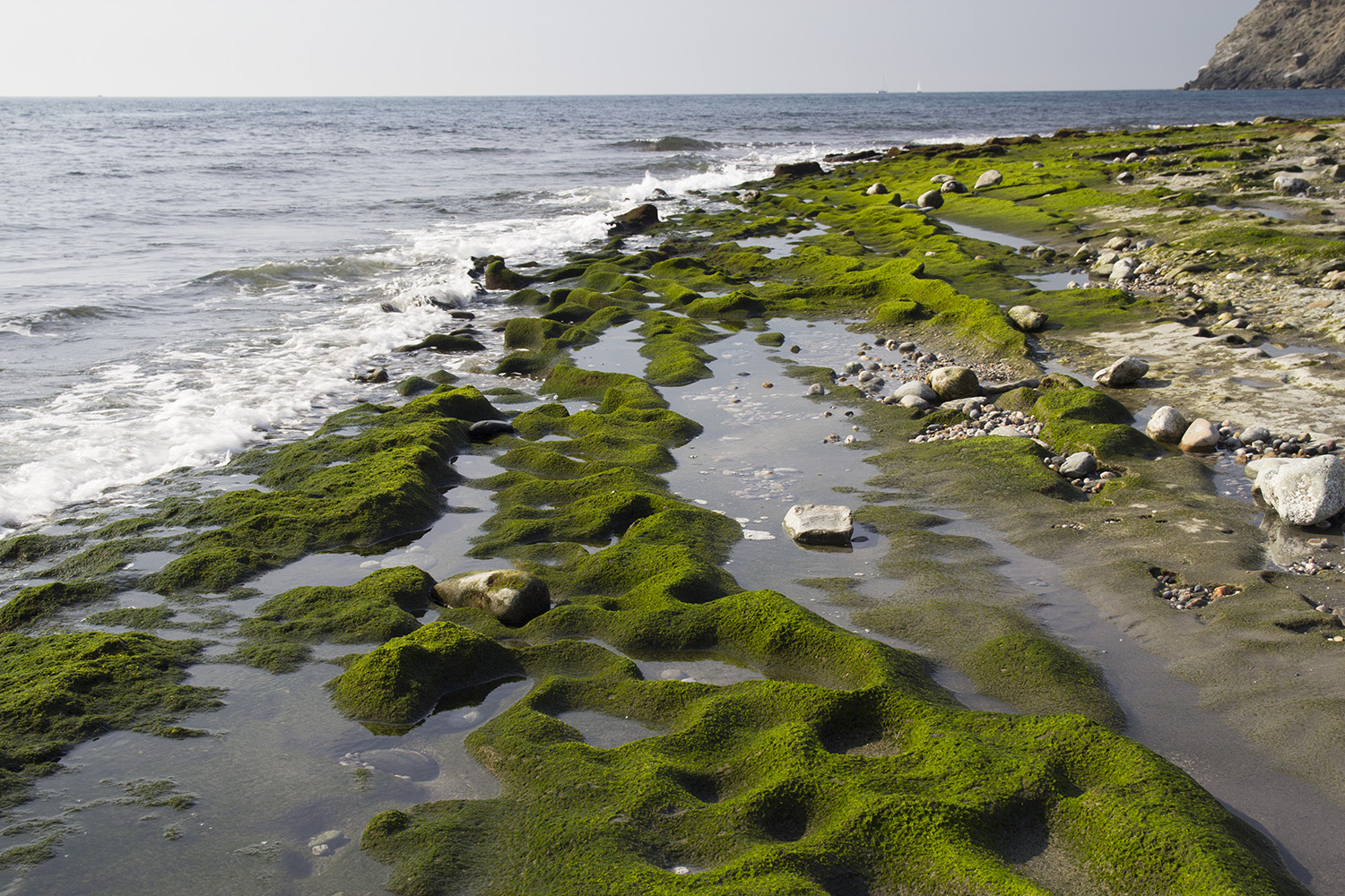 "Playa Carchuna" - Motril, Granada - BE01366