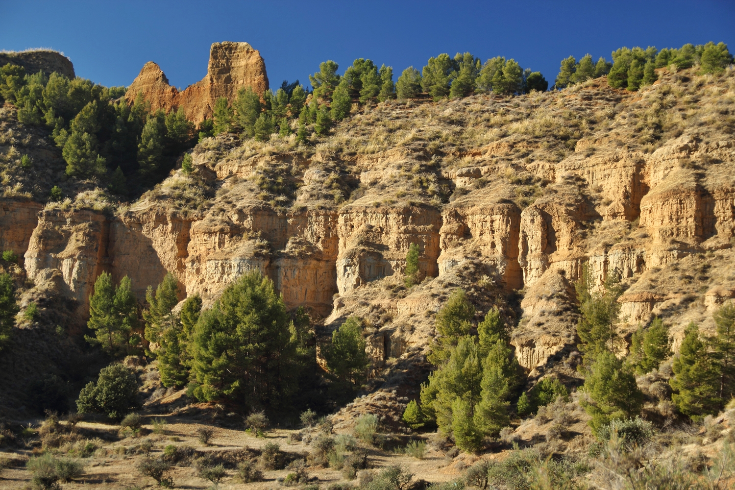 "Carcavas de Marchal" - Guadix, Granada - DR04317