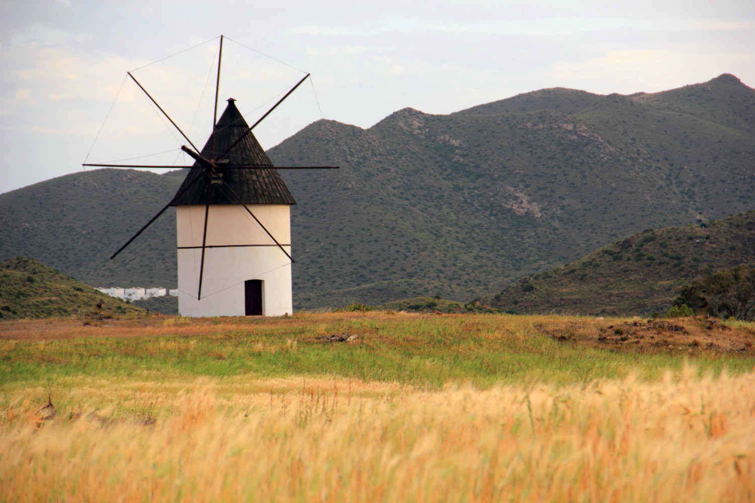 "The Windmill" - Cabo de Gata, Almeria - LS02810