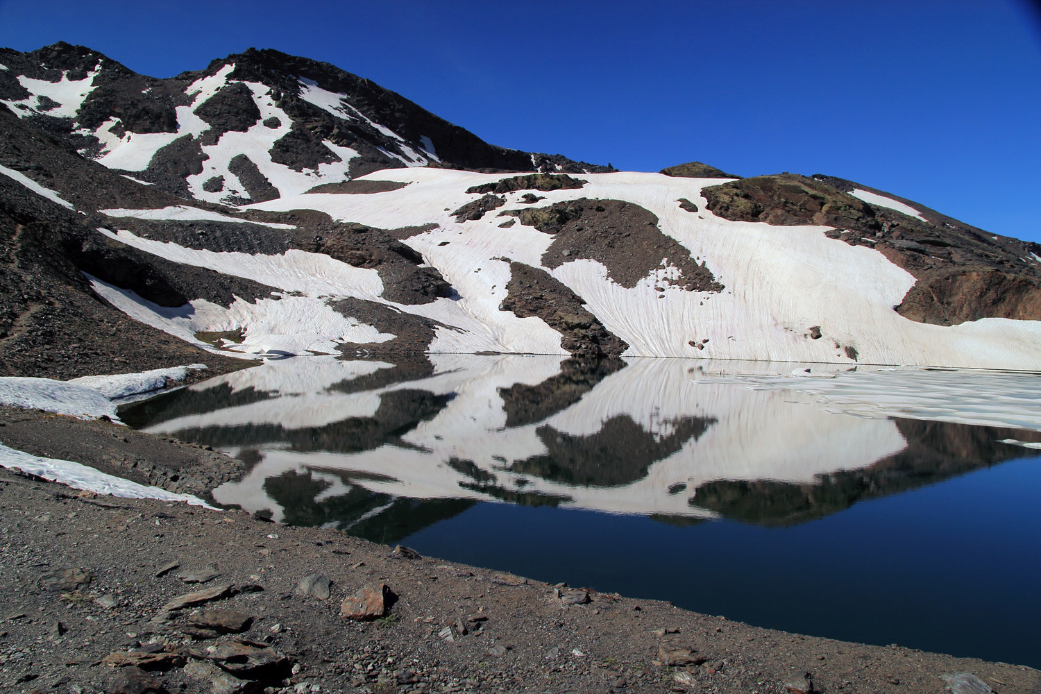 "Snow Leftover" - PN Sierra Nevada, Granada - L09312