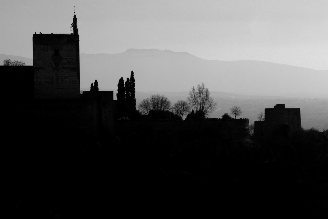 "Alhambra Shadows" - Granada - ALH00076