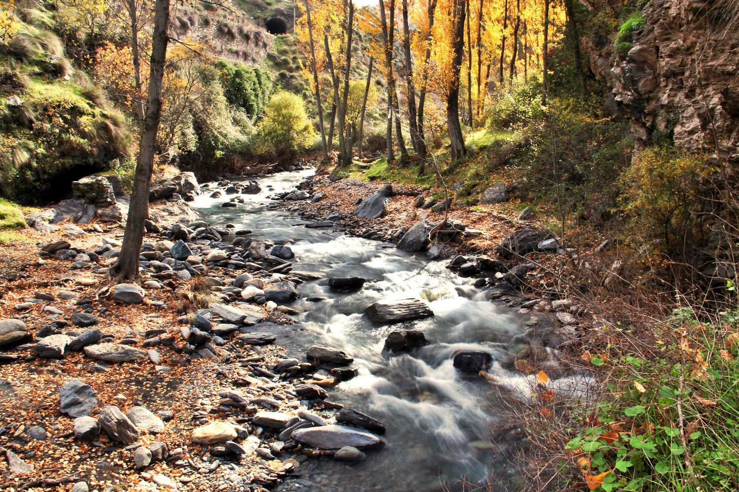 "Rio Genil" - PN Sierra Nevada, Granada - R03526