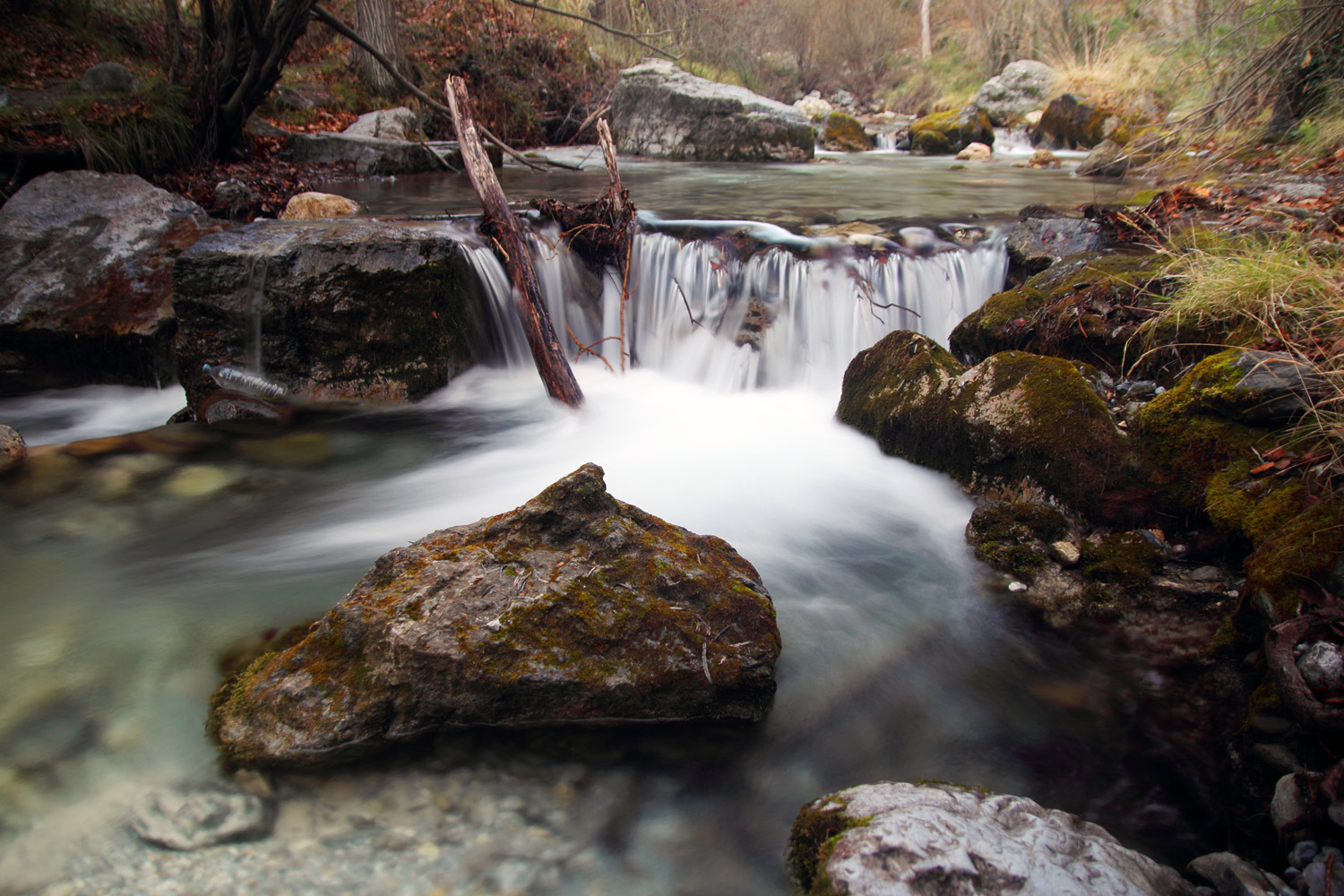 "Rio Dilar" -  PN Sierra Nevada, Granada - R05780