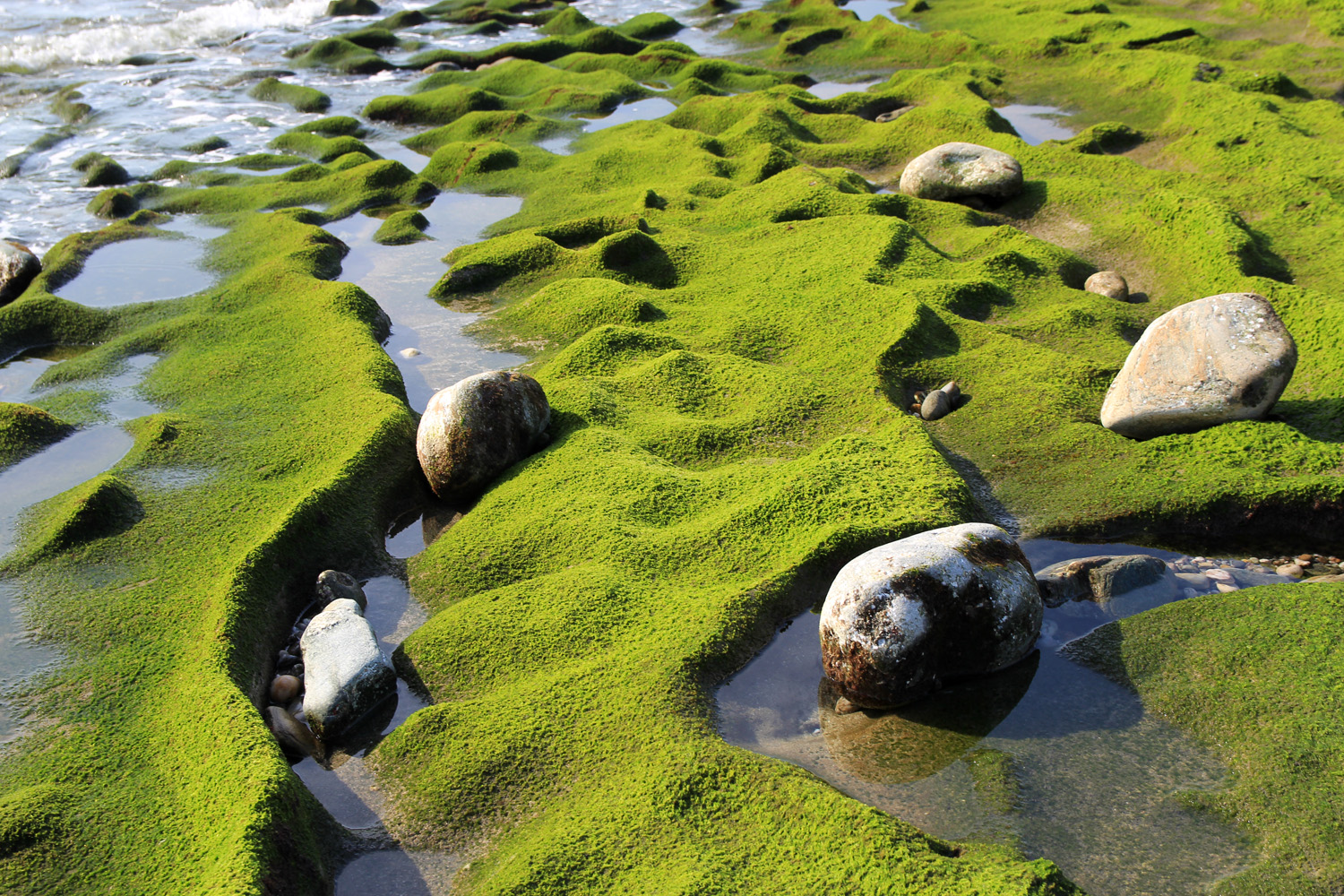 "Green Waves" - Playa La Chucha, Motril - DR01377