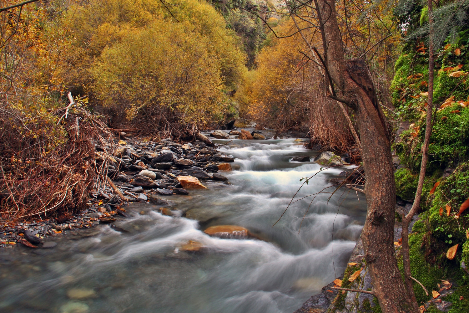 "Autumn River"- Rio Genil, PN Sierra Nevada, Granada - R03403