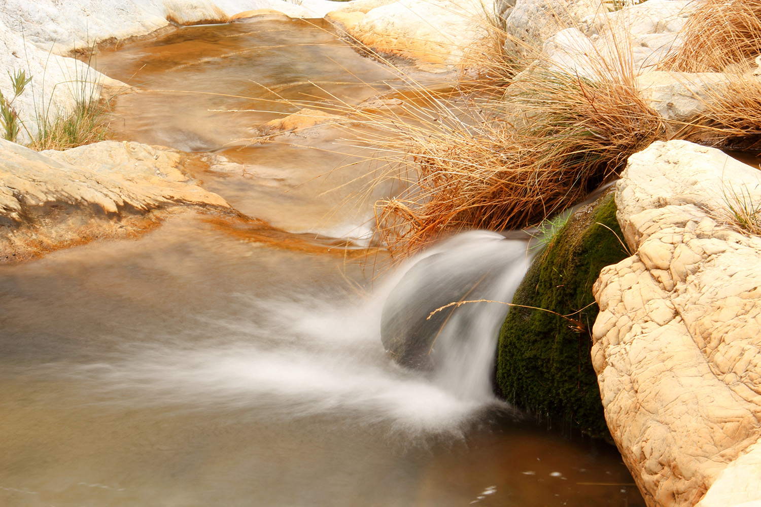 "Rio Verde" - PN Tejada, Granada - WC05833