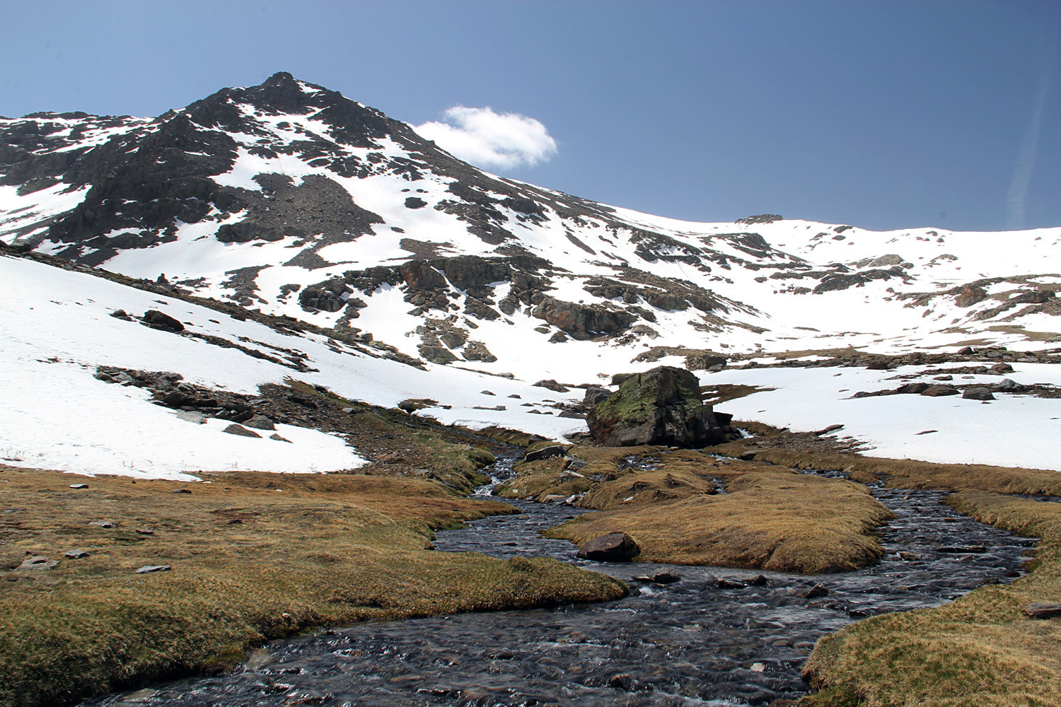 "A Cold Day" - PN Sierra de Nevada, Granada - LS04408