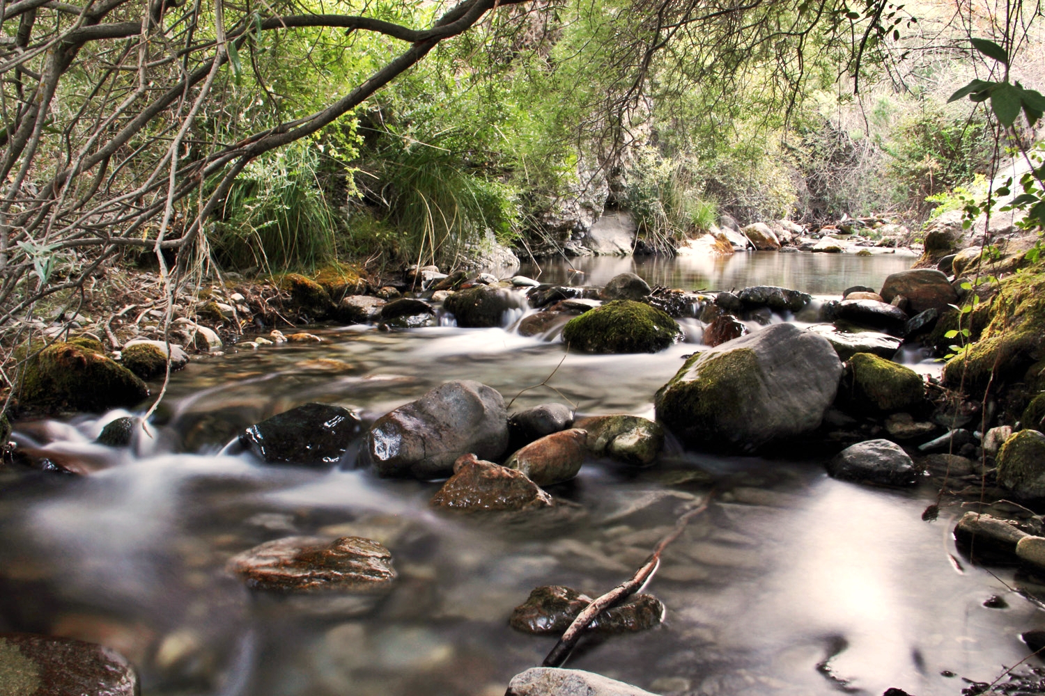 "Rio Durcal" - Durcal, Granada - R08405