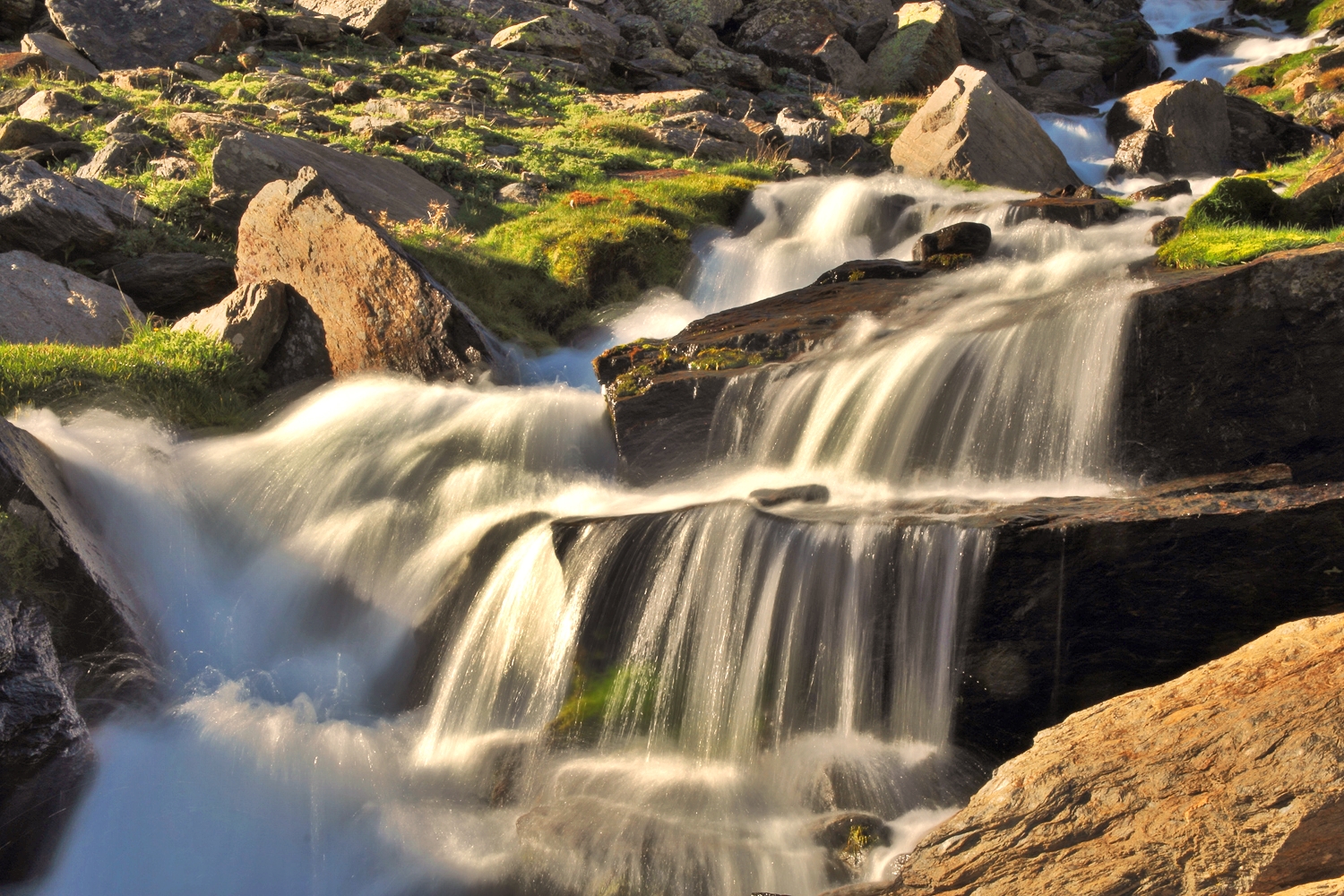 "Defrost Water" - PN Sierra Nevada, Granada - WF09393