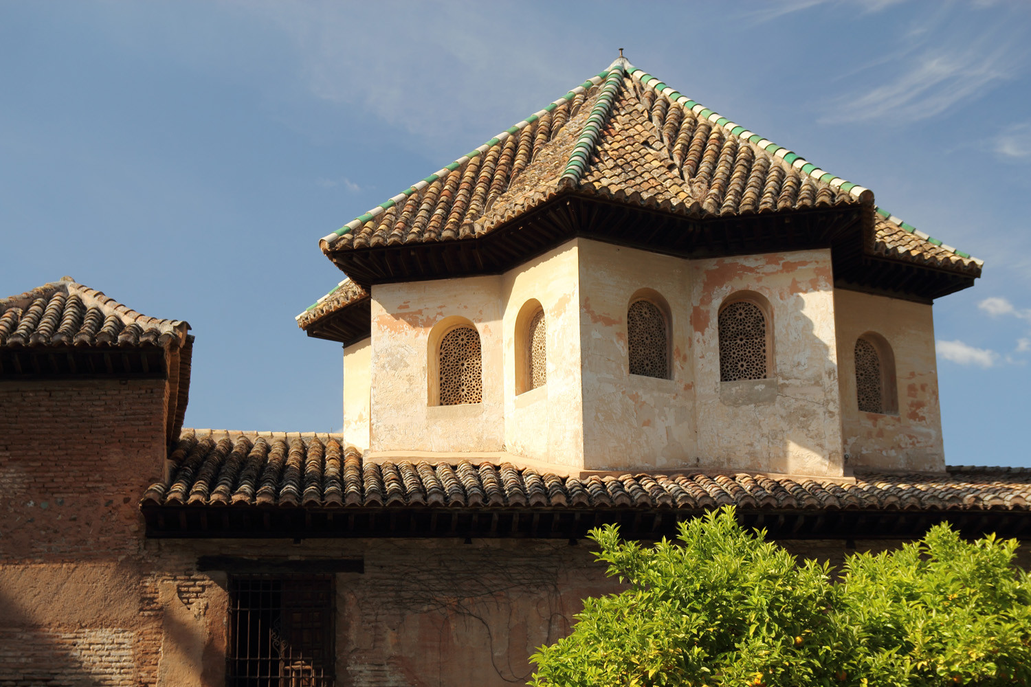 Alhambra, Granada - ALH09721