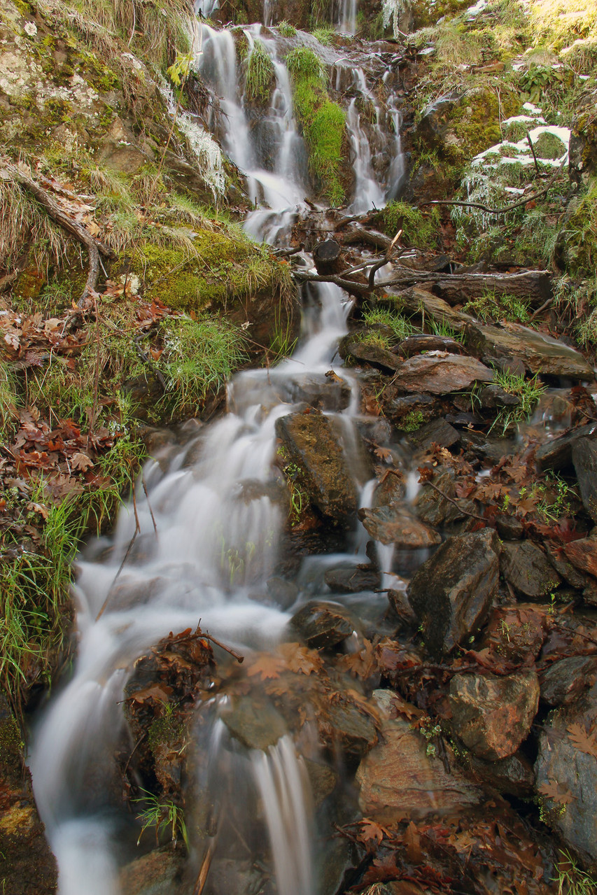 PN Sierra de Nevada, Granada - WF06548