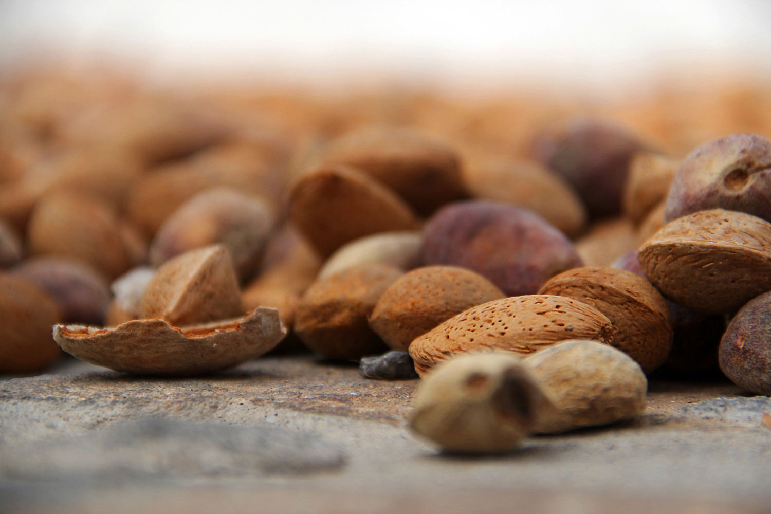 "Drying Almonds" - Country Side Granada - F05891