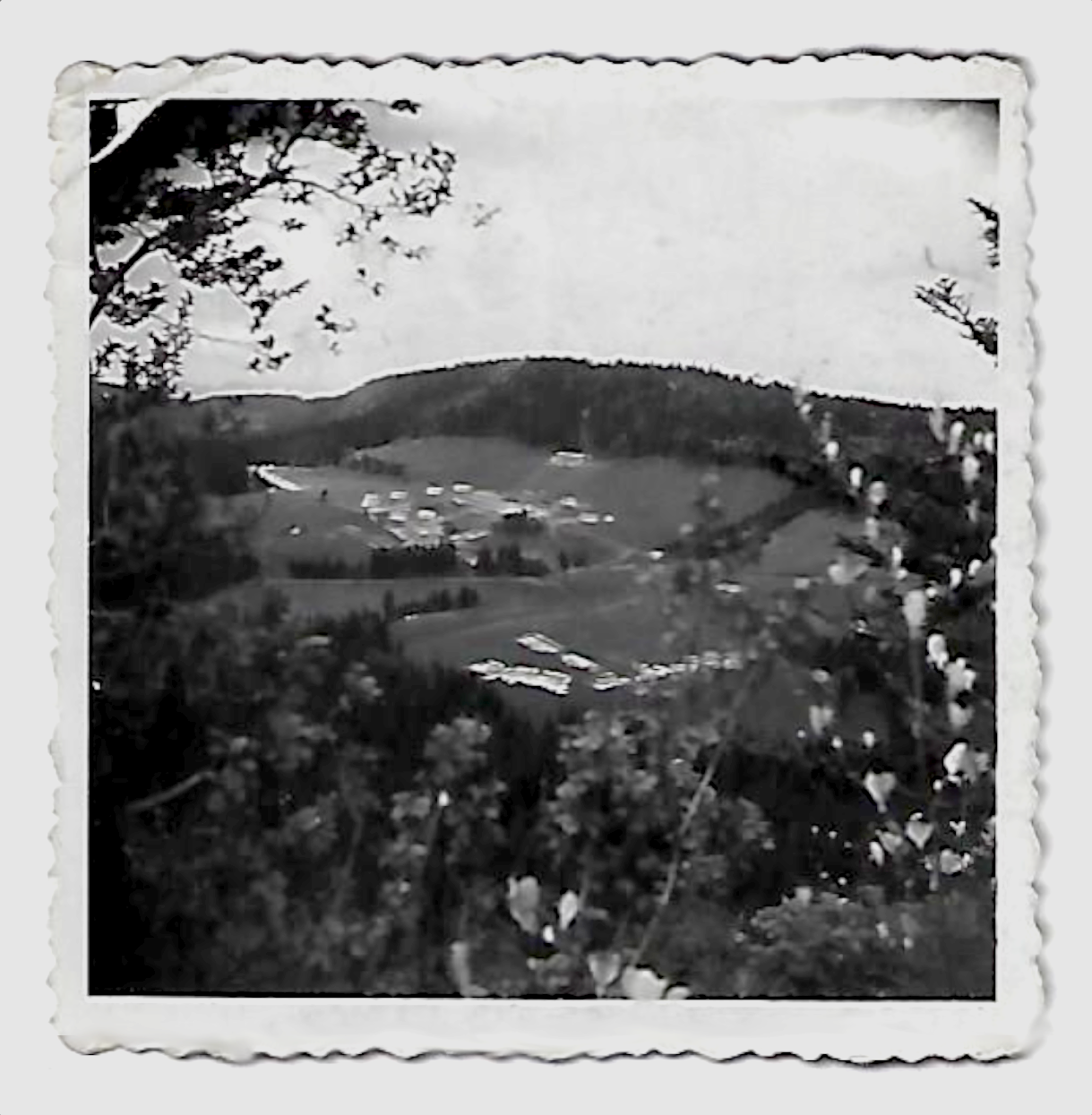 Campement de la Ferme Guichard en forme de trèfle (1941) © archives André et Bernard Maclet
