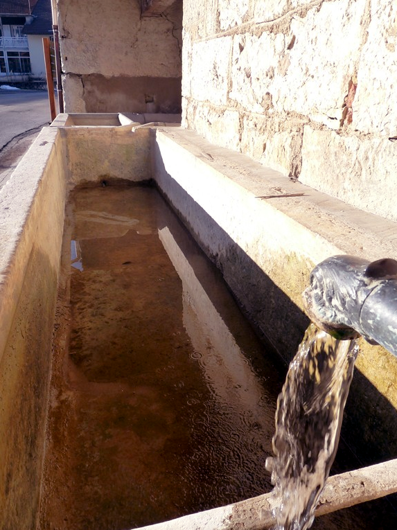 Détail de la fontaine de la Charrière (Cormaranche)
