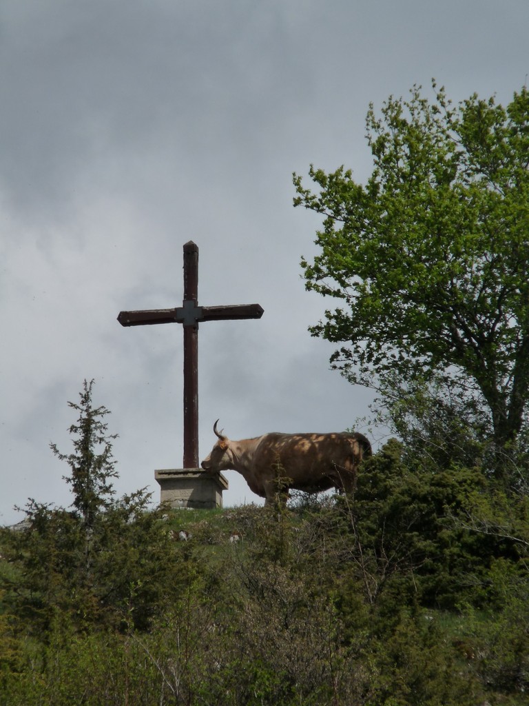 Croix de Rougemont