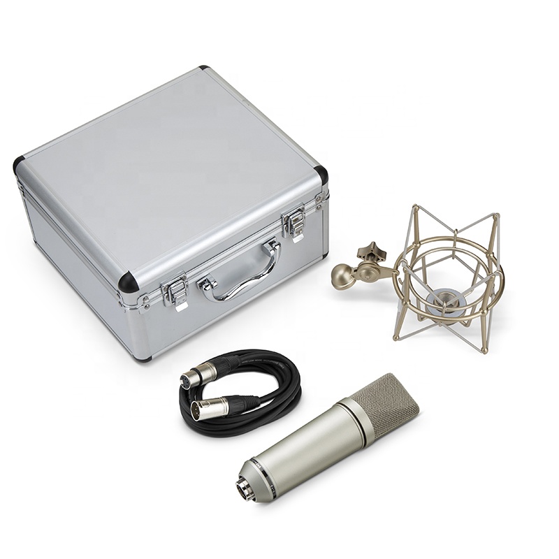 Il microfono Dragone C87S VS Neumann U87Ai - Cina VS Germania