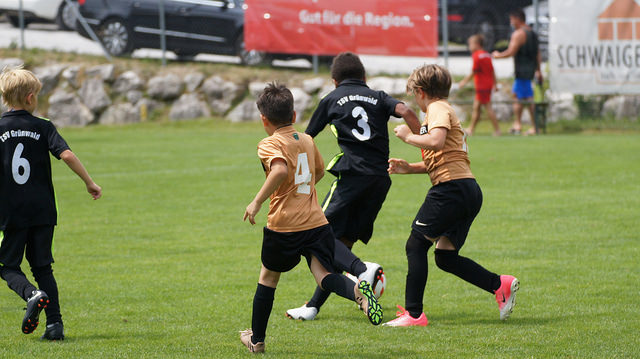 FC Wacker Innsbruck-TSV Grünwald