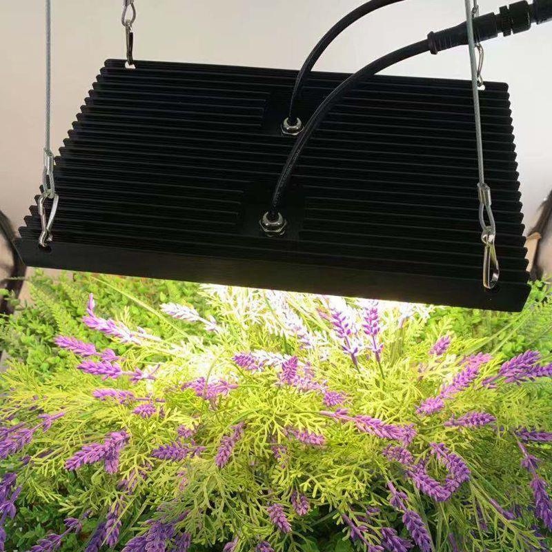 Led Pflanzenlampen Budget Grow Led Pflanzenlampen