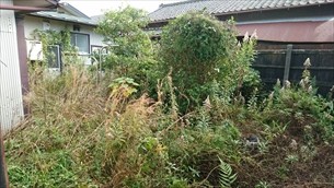 庭木剪定・草取り