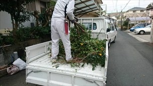 庭木伐採・草取り