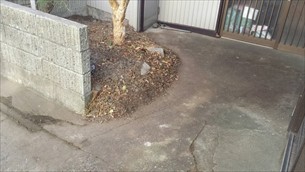 庭木剪定・草取り②