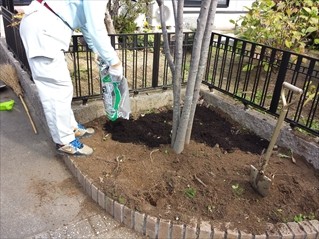 庭木の移植・植替え