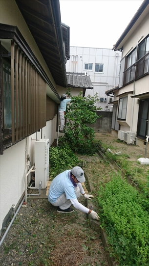 庭木剪定・草取り