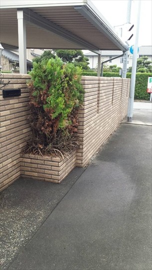 庭木剪定・草刈り・草取り