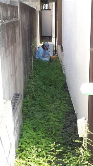 芝刈り・草取り