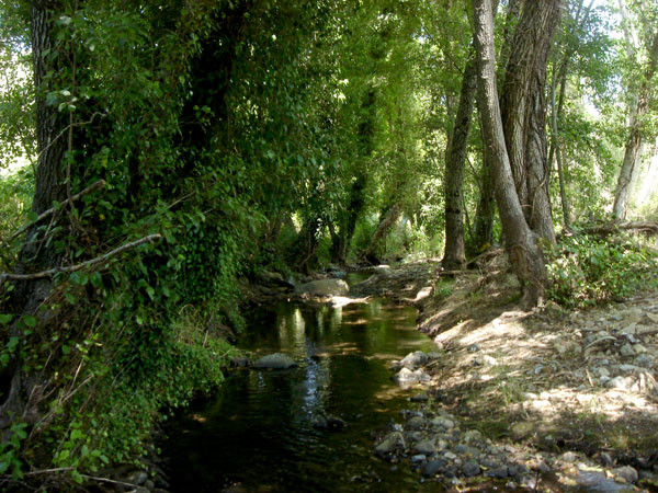 Senderos propios, explotación ganadera de cerdo ibérico, riachuelos, bosques de encina, alcornocales, bosques de galería...