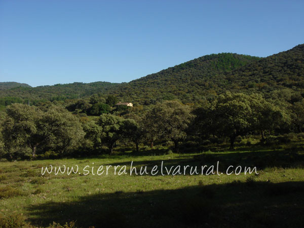 Vista del Cortijo en la finca